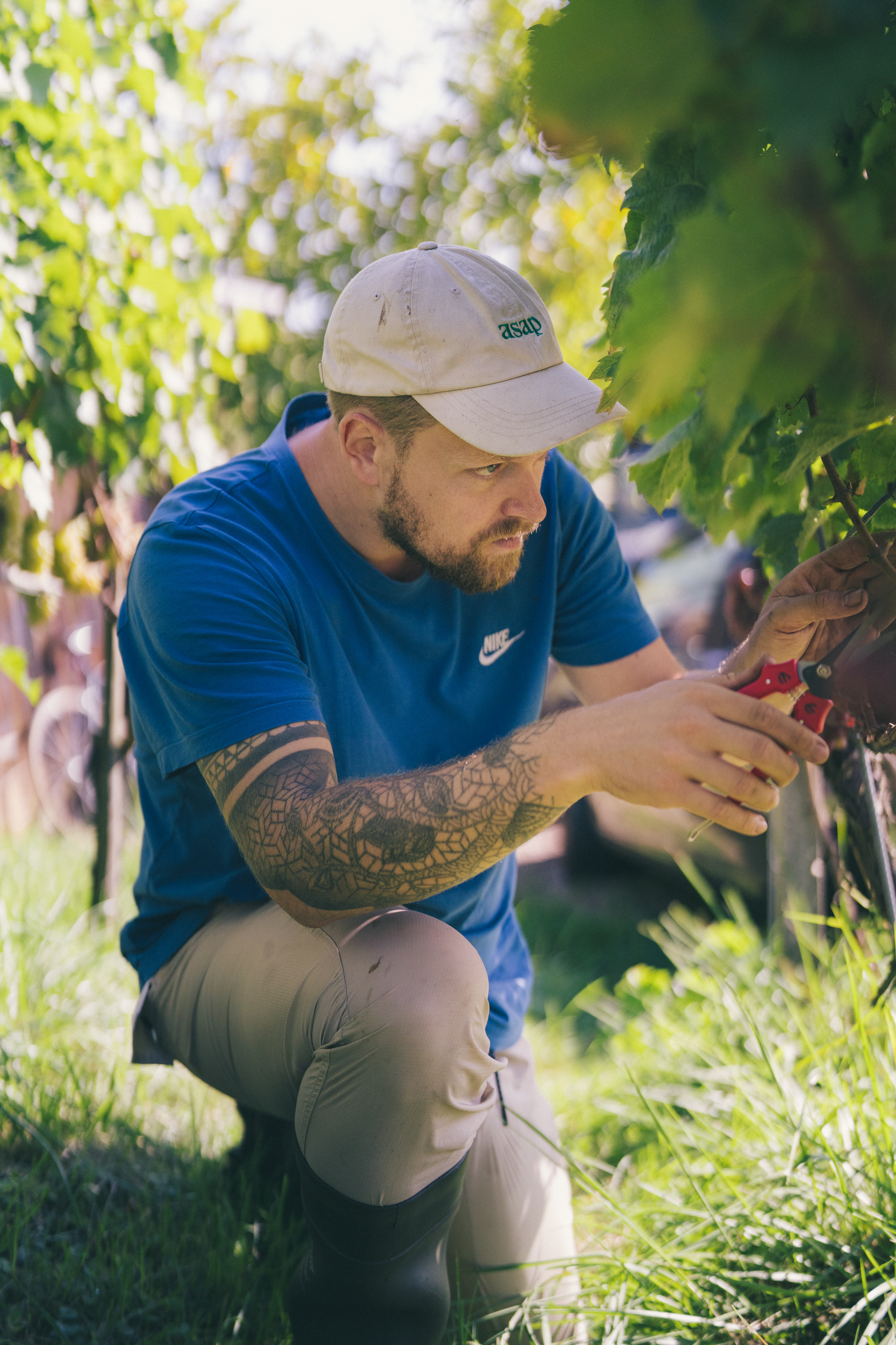 Offline Wine Portrait